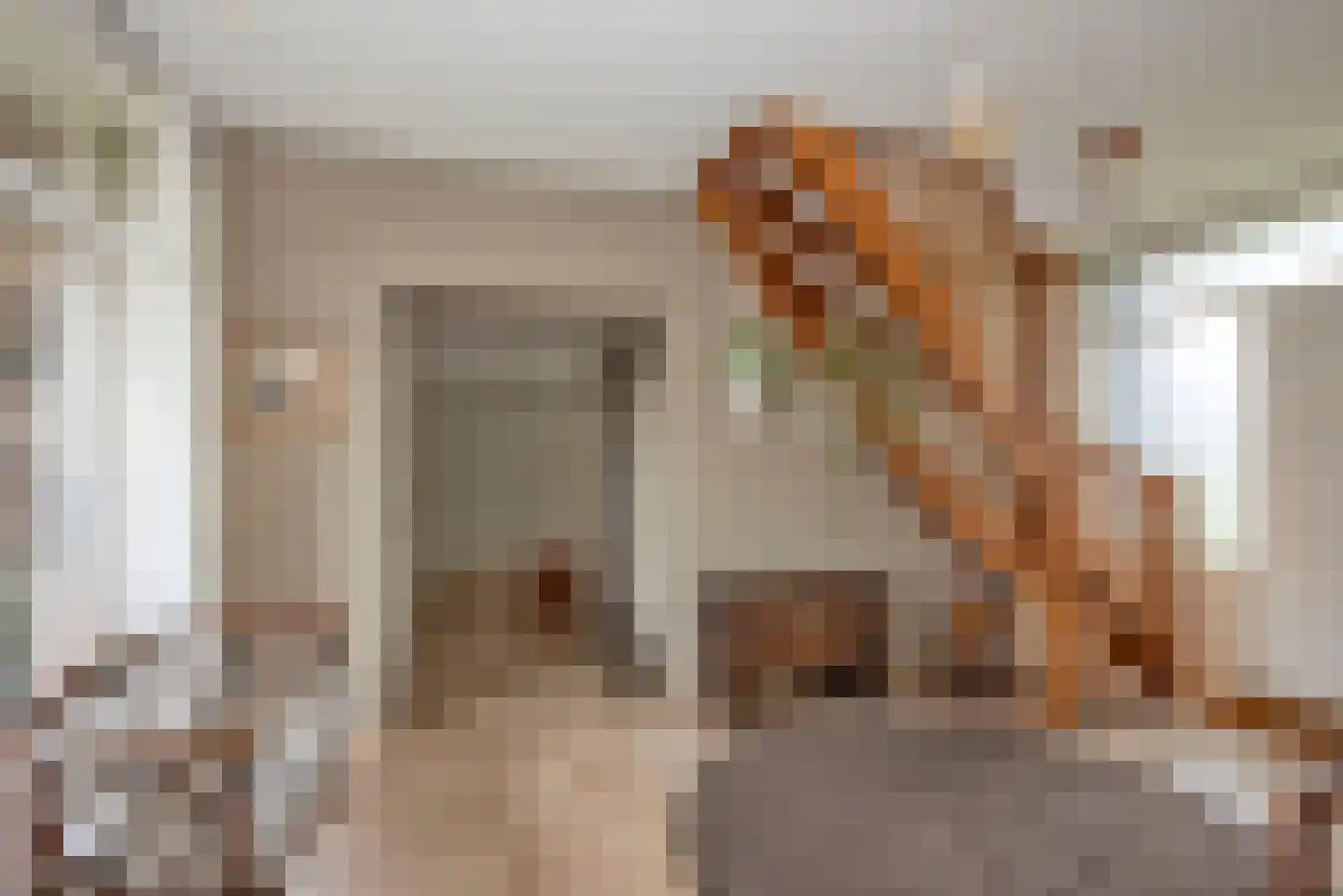 Rembrandtstraat 10 Goor thumbnail 24