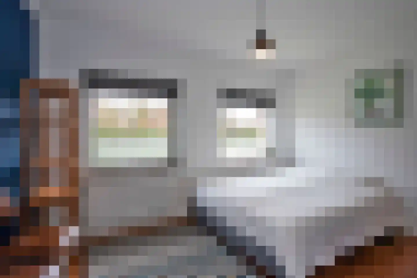 Rembrandtstraat 10 Goor thumbnail 28