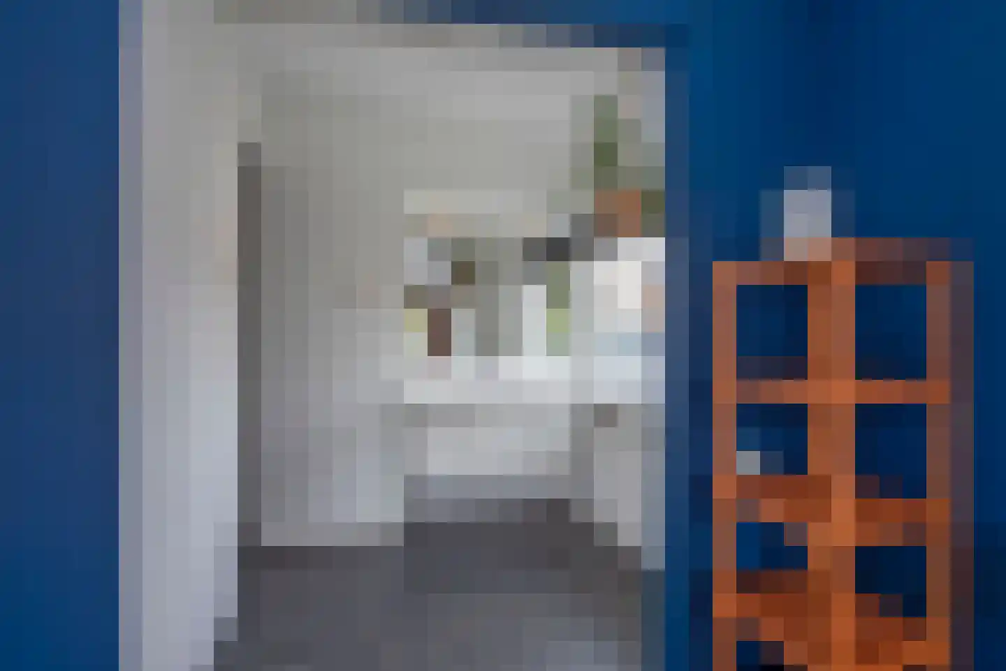 Rembrandtstraat 10 Goor thumbnail 29
