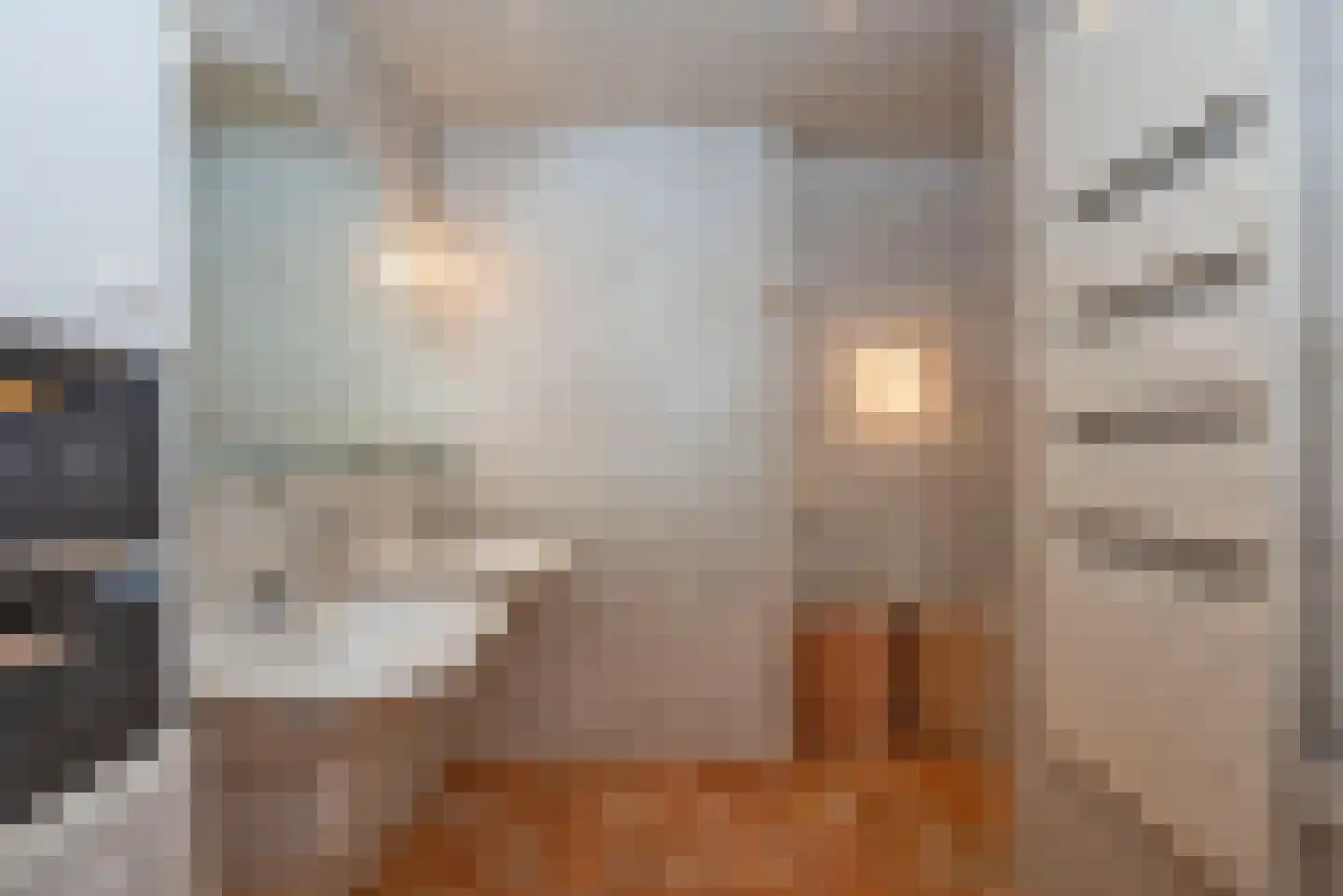 Rembrandtstraat 10 Goor thumbnail 35