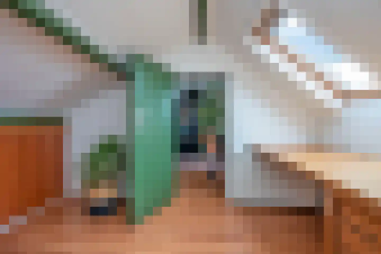 Rembrandtstraat 10 Goor thumbnail 40