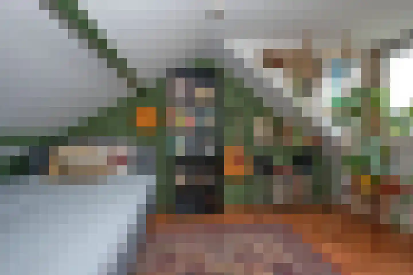 Rembrandtstraat 10 Goor thumbnail 42