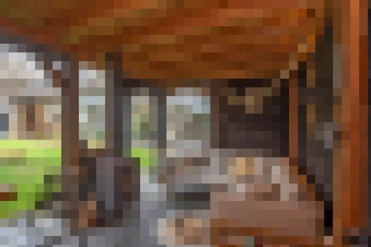 Rembrandtstraat 10 Goor thumbnail 47