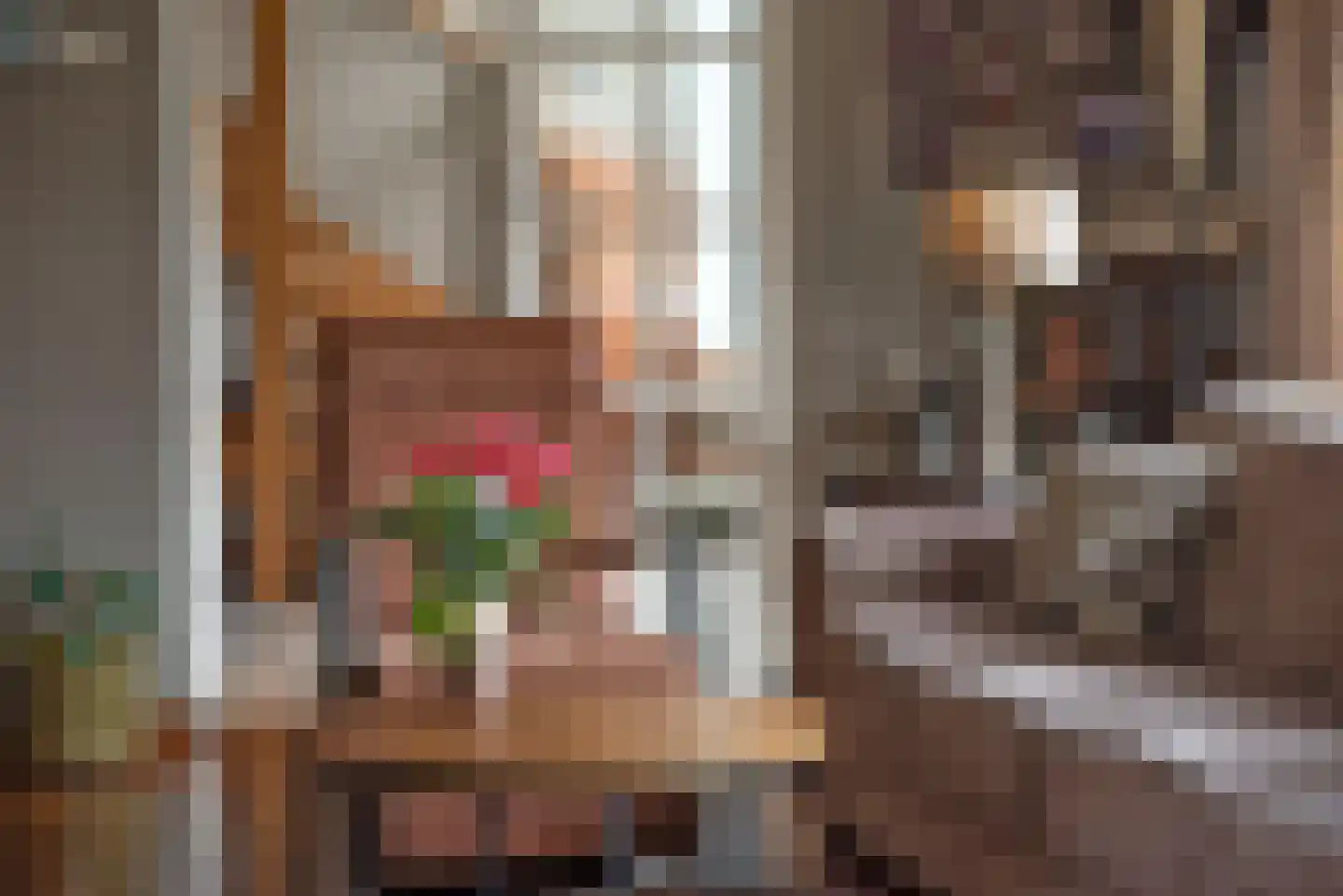 Rembrandtstraat 10 Goor thumbnail 8