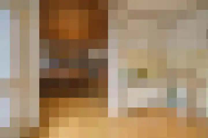 Rembrandtstraat 10 Rucphen thumbnail 17