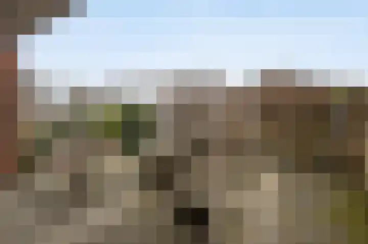 Rembrandtstraat 10 Rucphen thumbnail 31