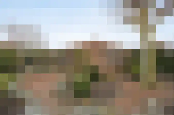 Rembrandtstraat 10 Rucphen thumbnail 35