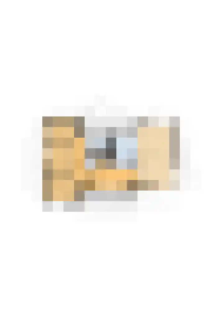 Rembrandtstraat 10 Rucphen thumbnail 40