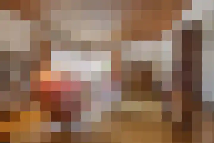 Rembrandtstraat 10 Rucphen thumbnail 8