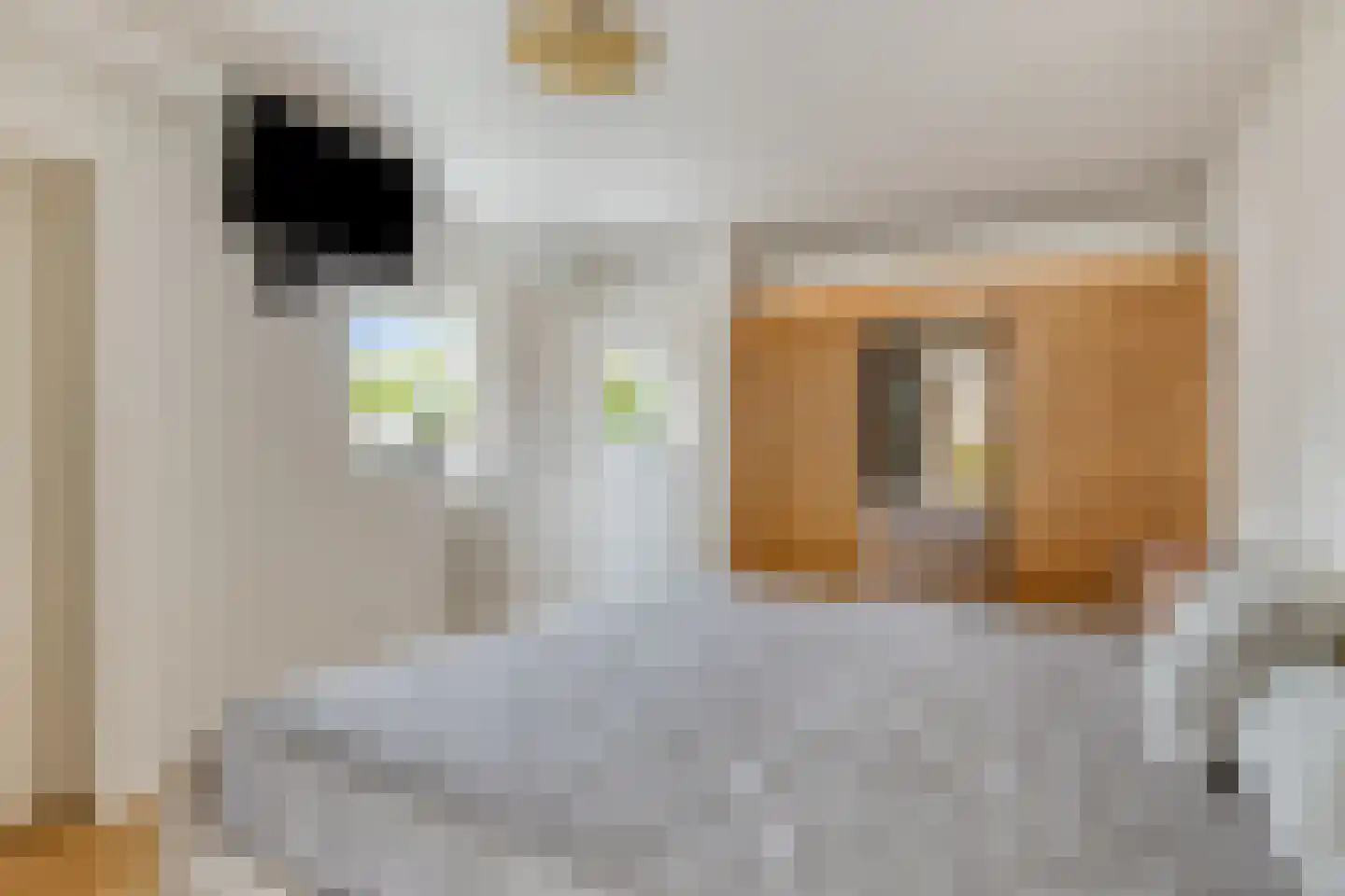 Rembrandtstraat 10 Vinkel thumbnail 13