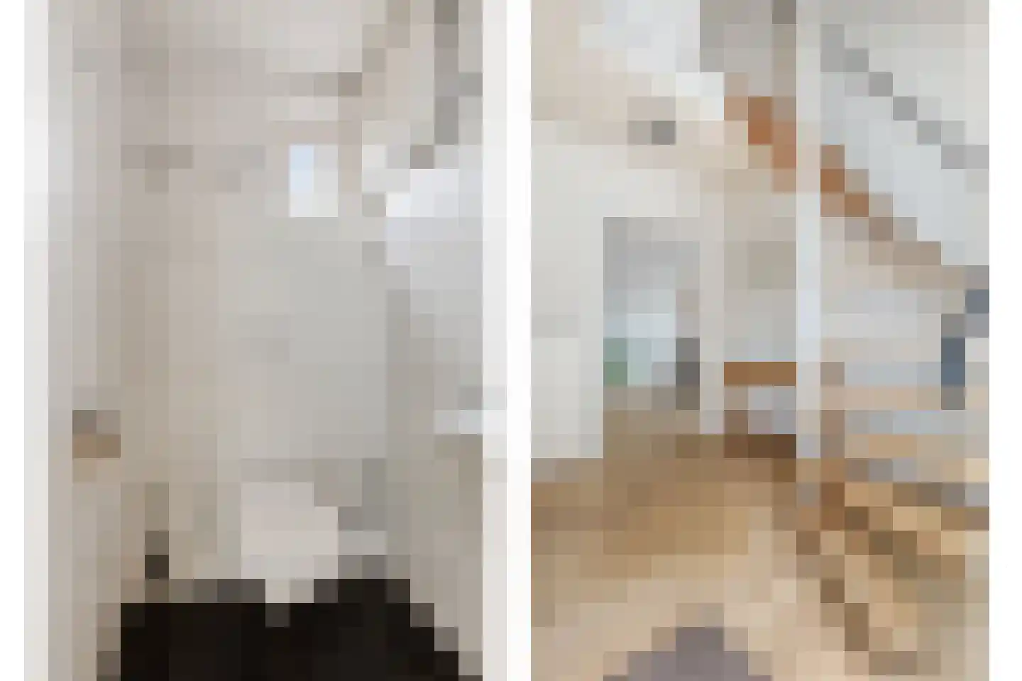 Rembrandtstraat 10 Vinkel thumbnail 17