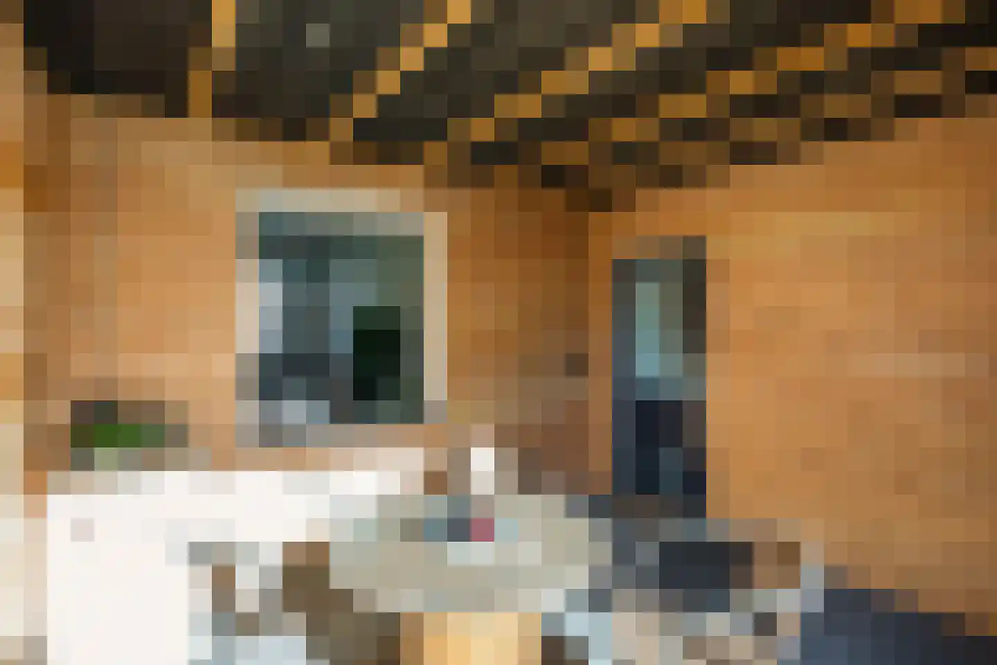 Rembrandtstraat 11 Marum thumbnail 33
