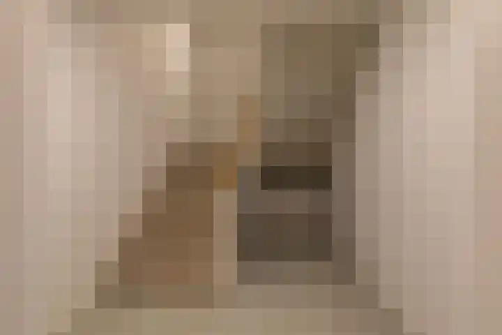 Rembrandtstraat 11 Voorthuizen thumbnail 11