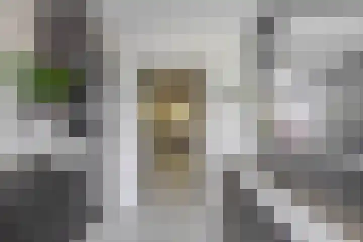 Rembrandtstraat 114 Oud-Beijerland thumbnail 25
