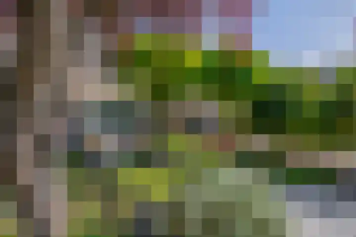 Rembrandtstraat 114 Oud-Beijerland thumbnail 8