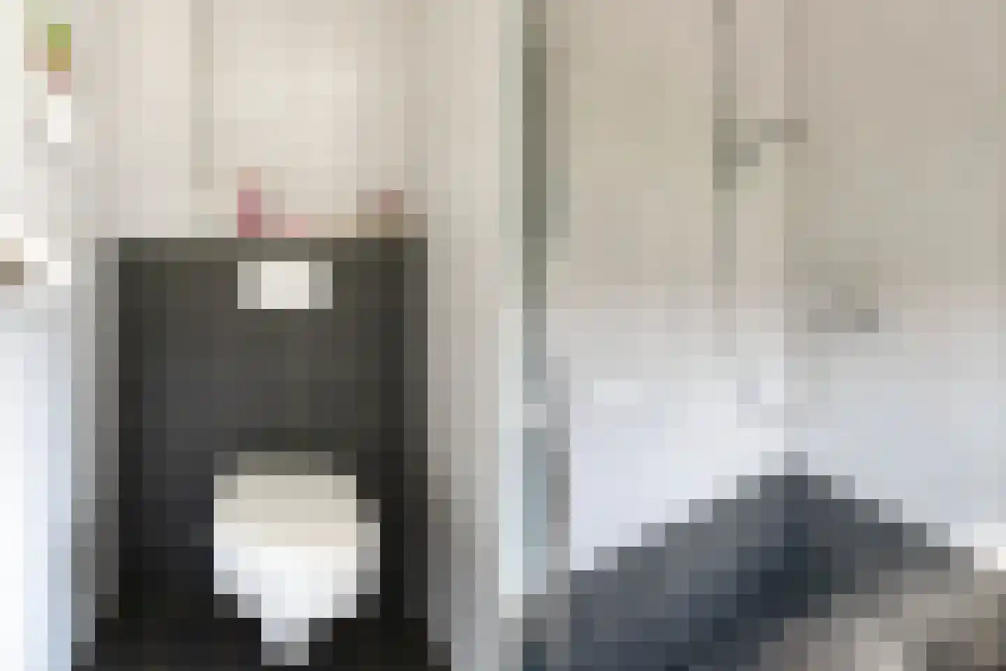 Rembrandtstraat 12 Goor thumbnail 17