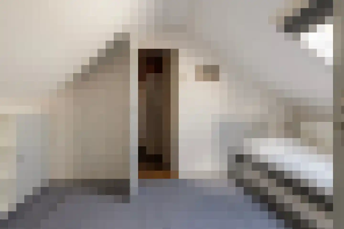 Rembrandtstraat 12 Goor thumbnail 24