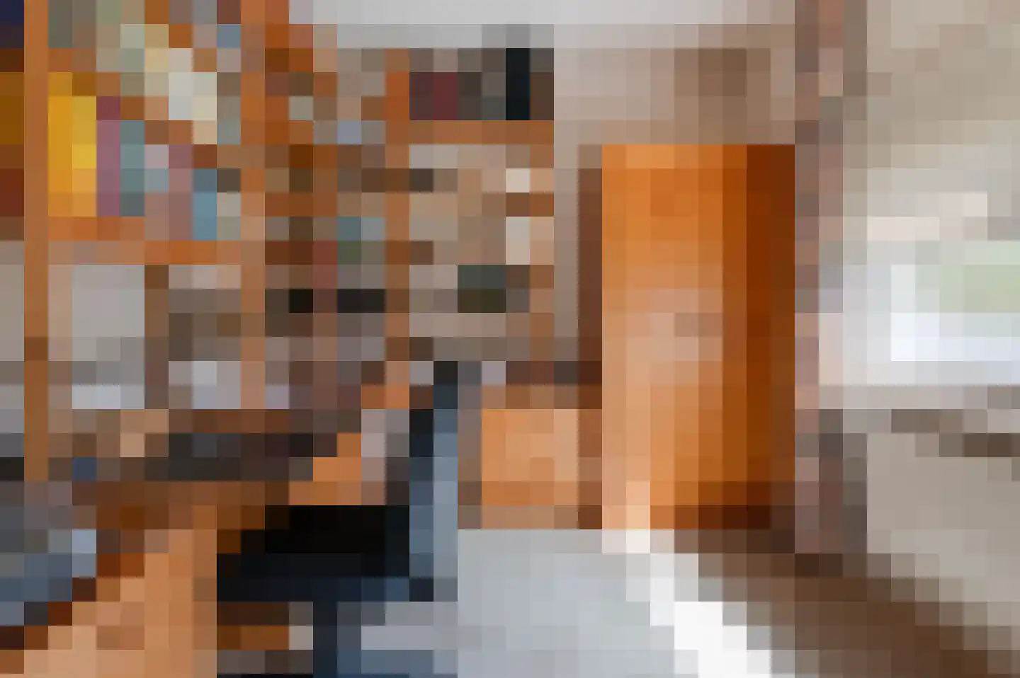 Rembrandtstraat 12 Goor thumbnail 26