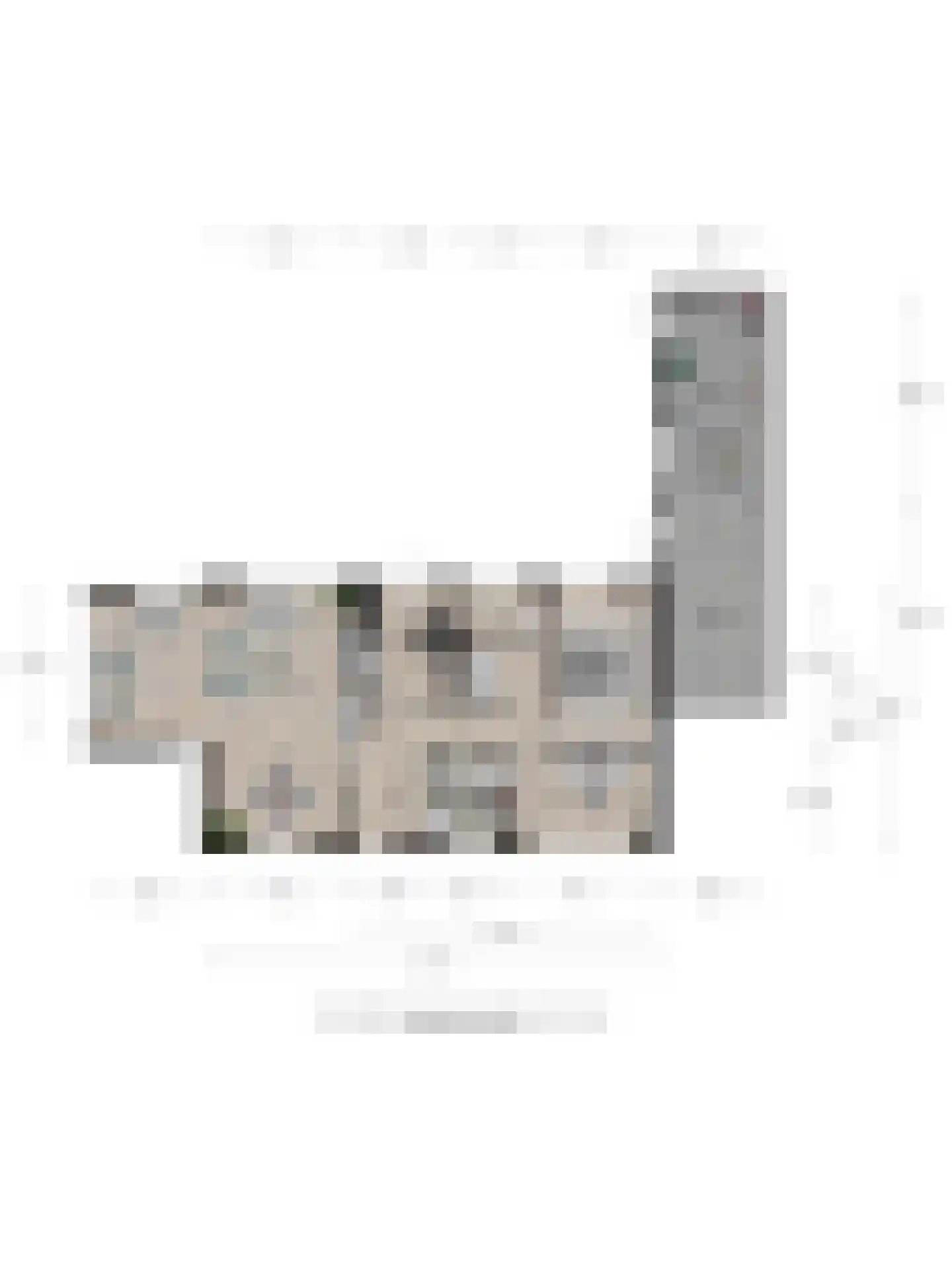 Rembrandtstraat 12 Goor thumbnail 27
