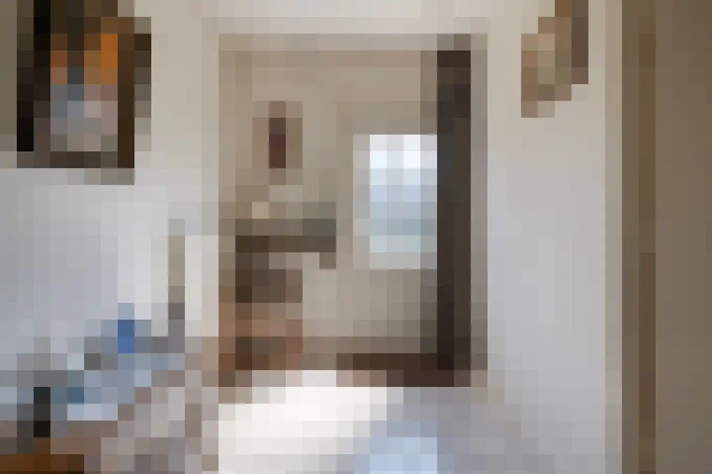 Rembrandtstraat 12 Goor thumbnail 9