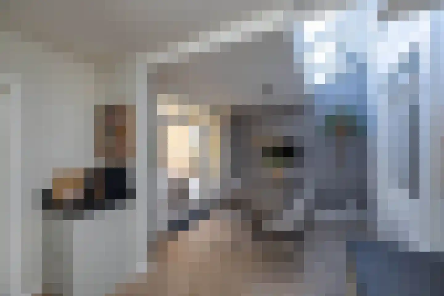 Rembrandtstraat 12 Hengelo thumbnail 13