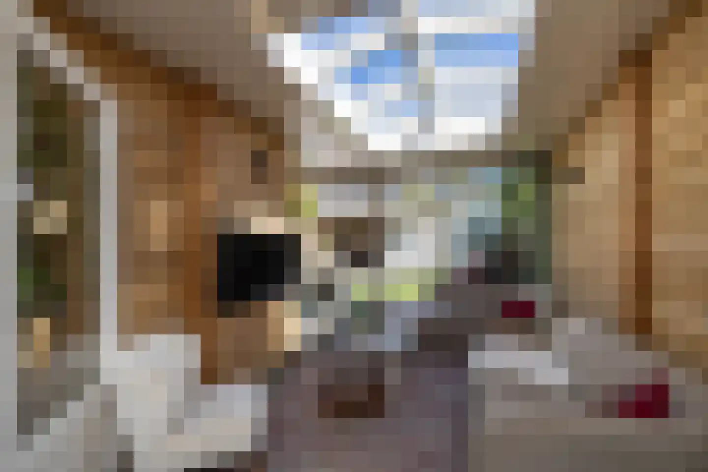Rembrandtstraat 12 Hengelo thumbnail 16
