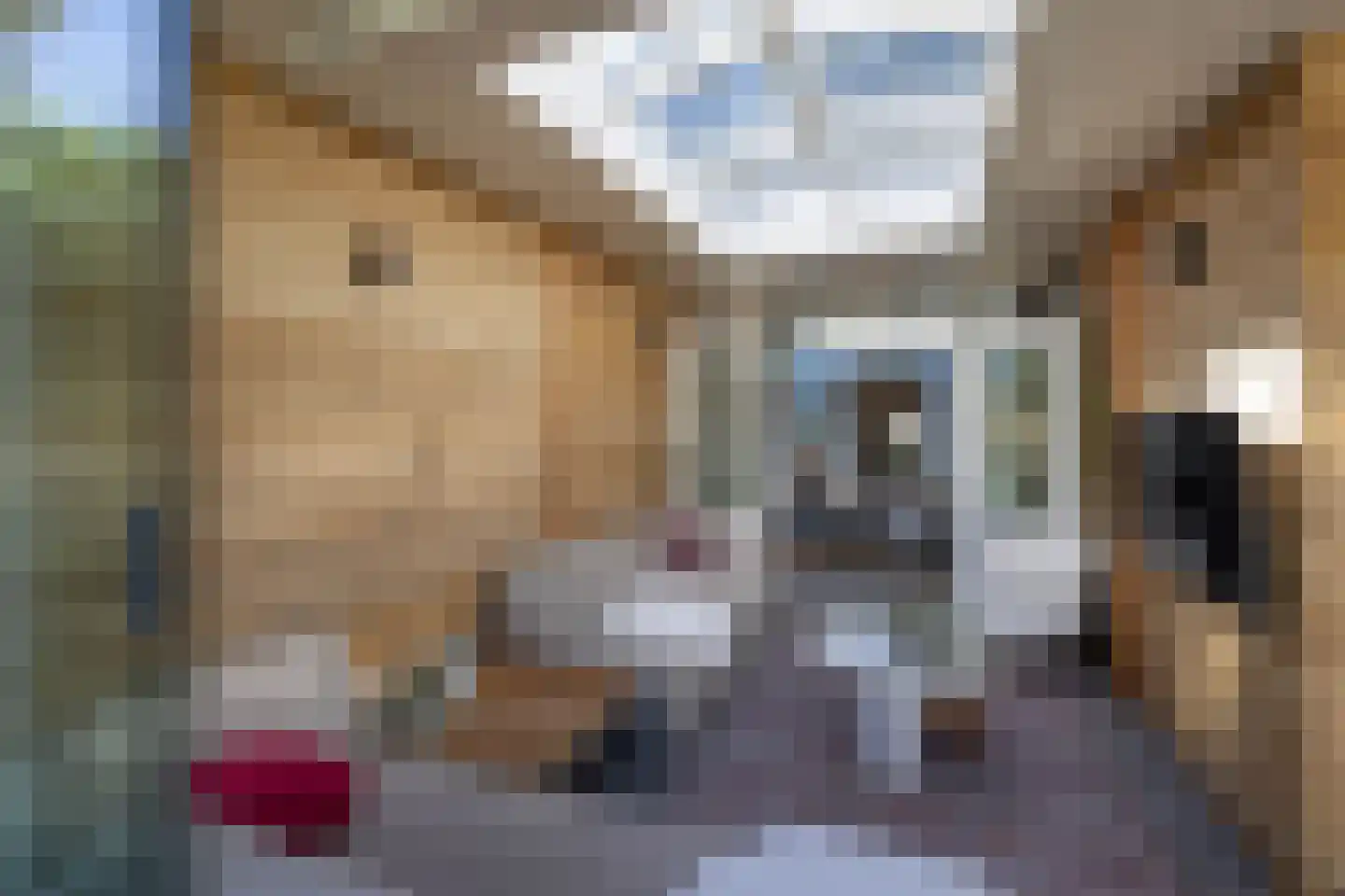 Rembrandtstraat 12 Hengelo thumbnail 20