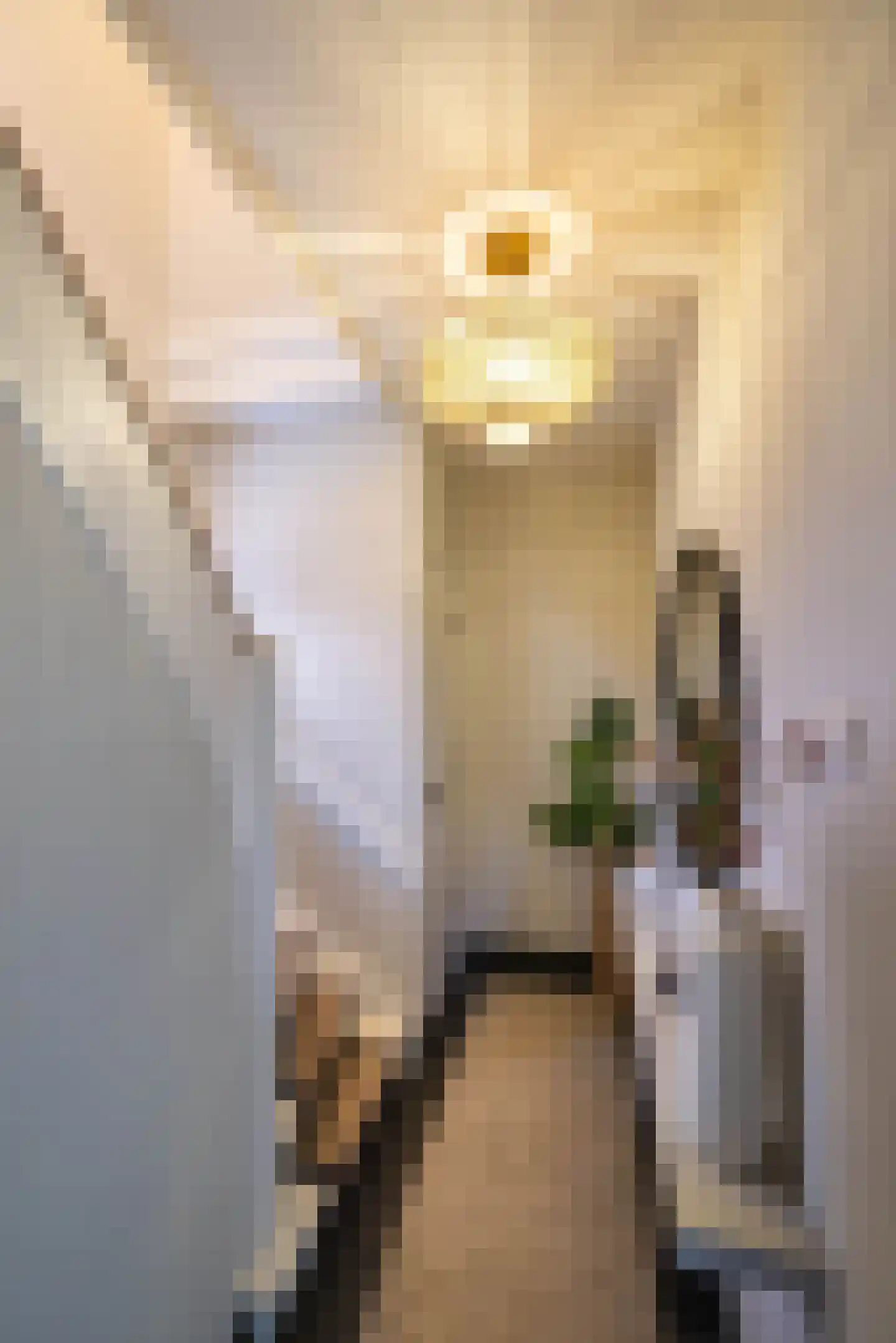 Rembrandtstraat 12 Hengelo thumbnail 22
