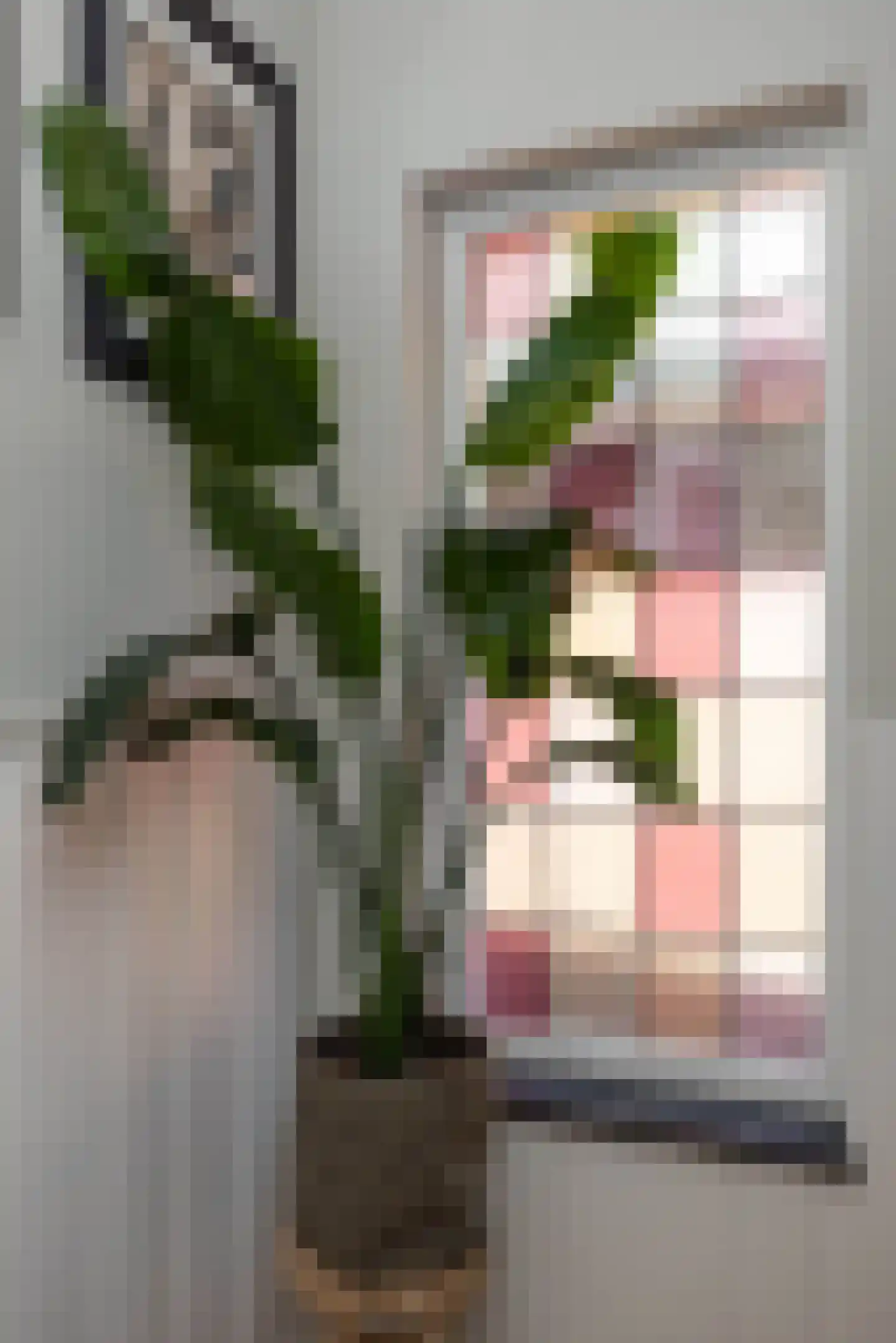 Rembrandtstraat 12 Hengelo thumbnail 31