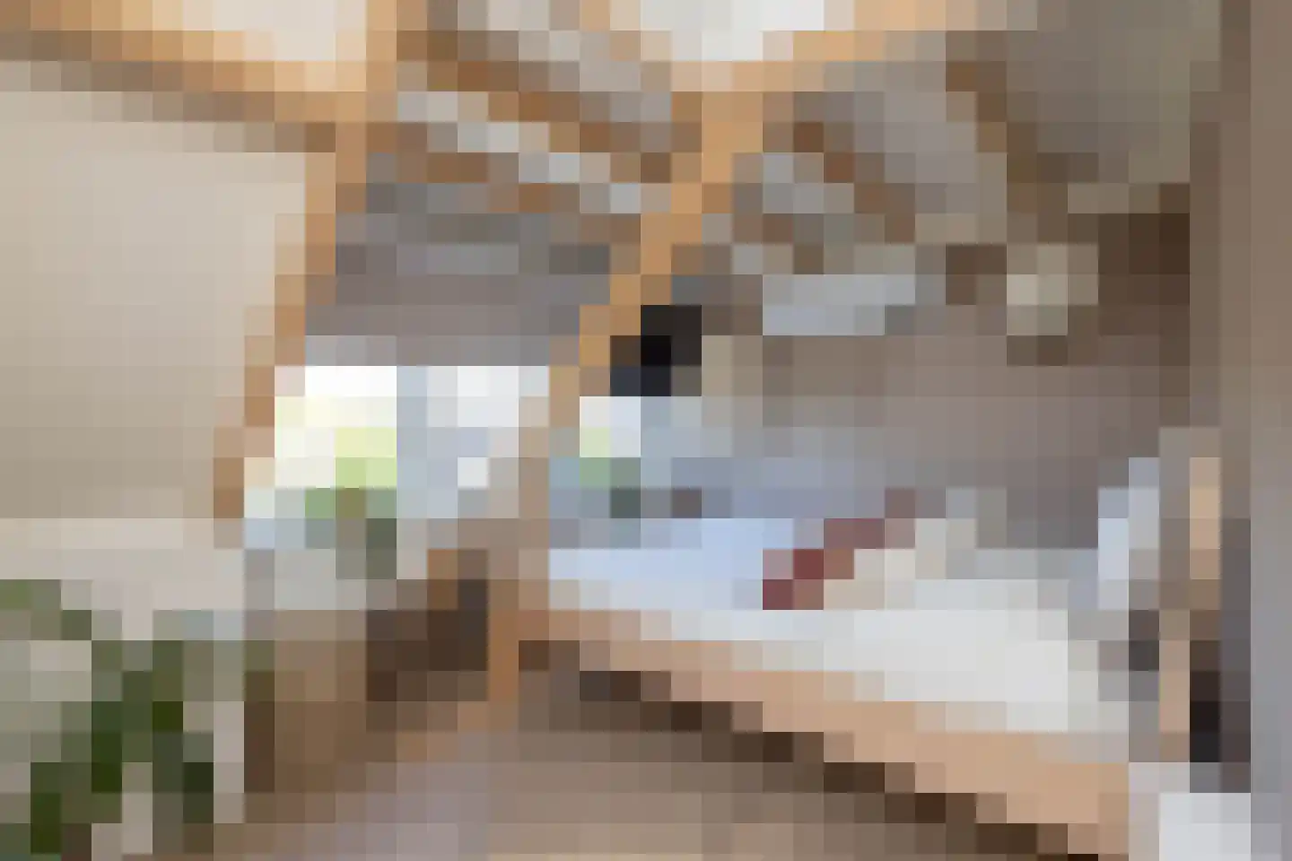 Rembrandtstraat 12 Hengelo thumbnail 32