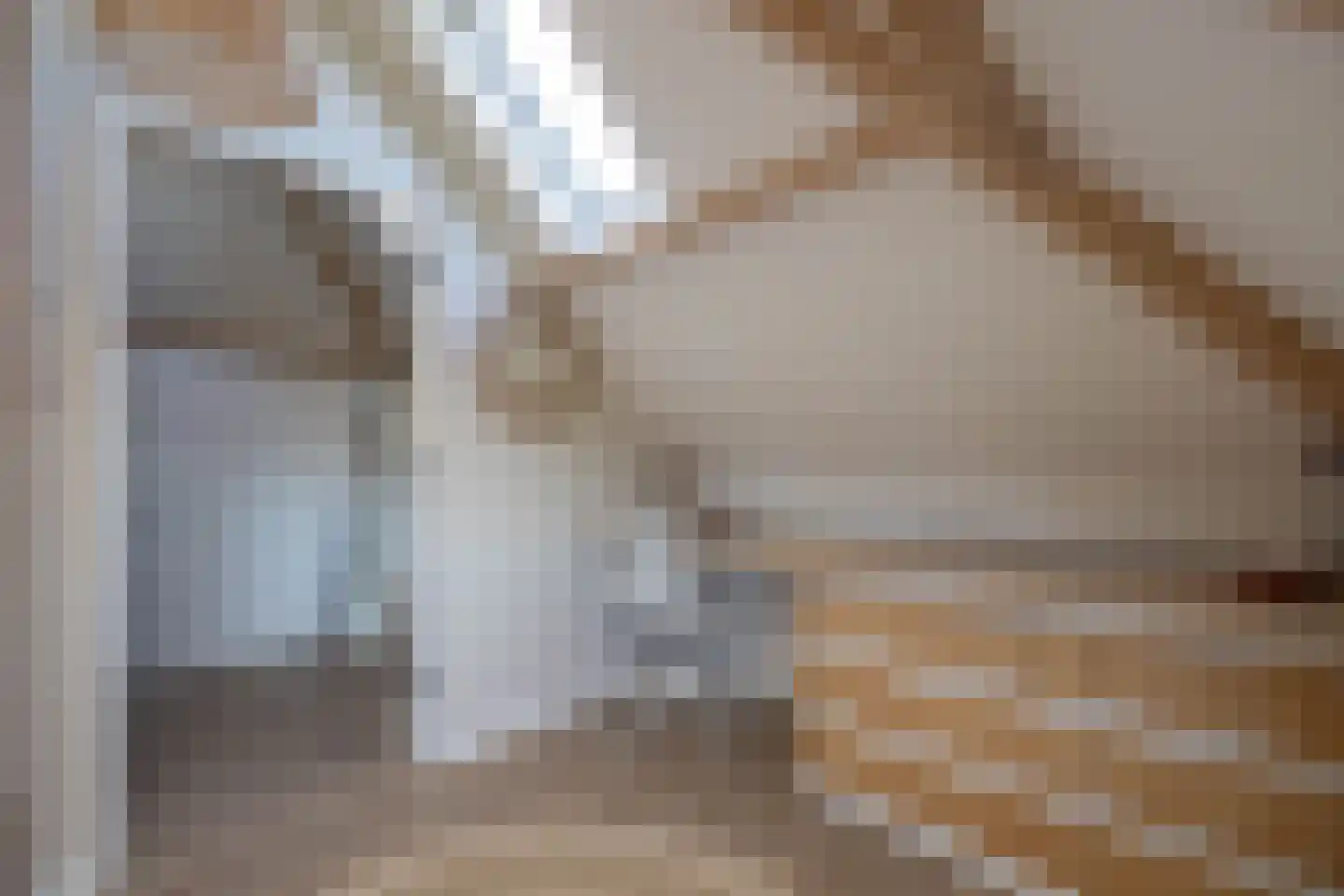 Rembrandtstraat 12 Hengelo thumbnail 33