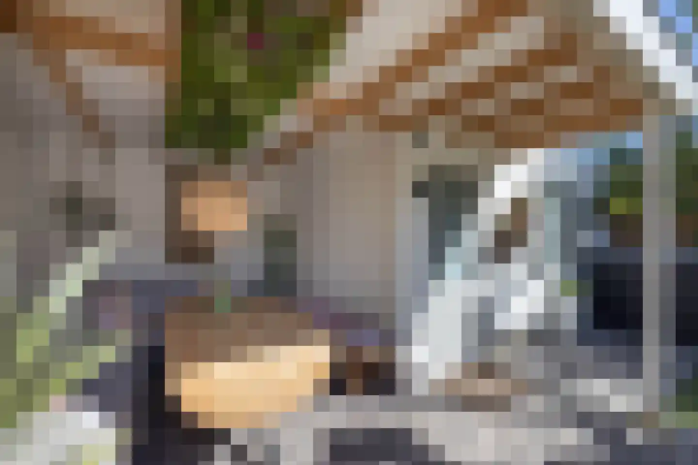 Rembrandtstraat 12 Hengelo thumbnail 39