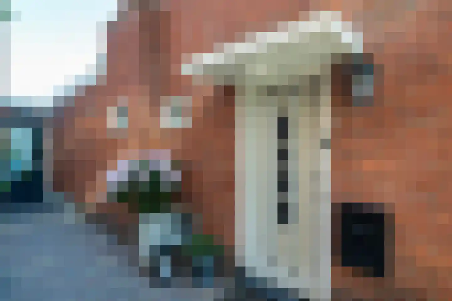 Rembrandtstraat 12 Hengelo thumbnail 41