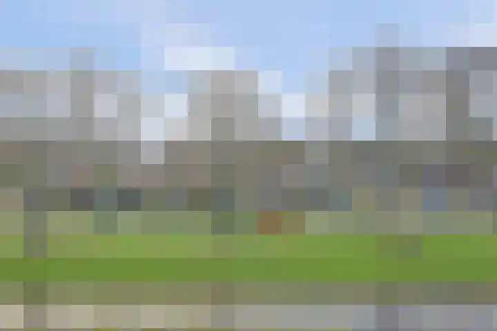Rembrandtstraat 14 A Spijkenisse thumbnail 20