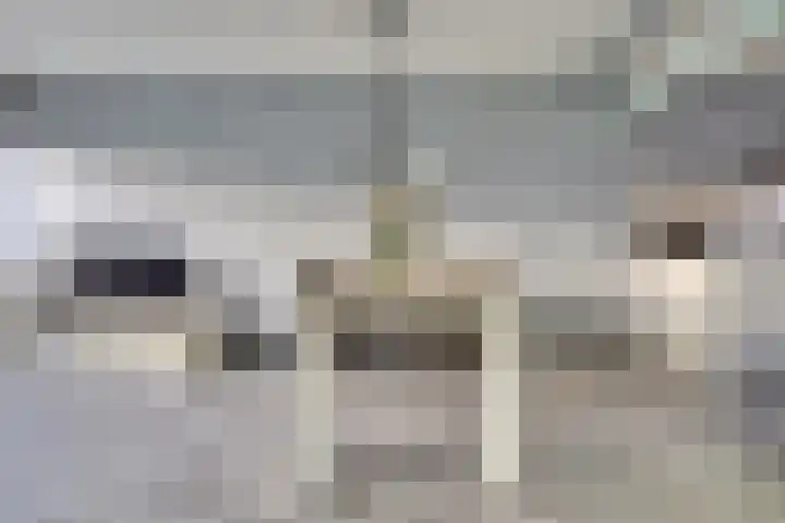 Rembrandtstraat 14 A Spijkenisse thumbnail 6