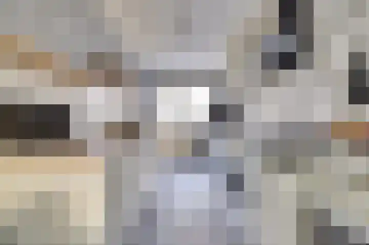 Rembrandtstraat 14 A Spijkenisse thumbnail 9
