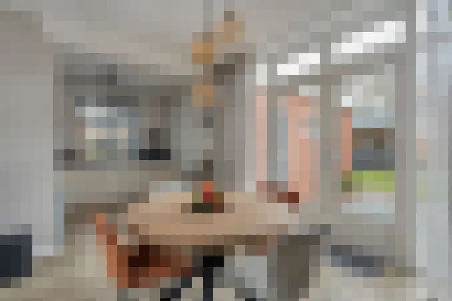 Rembrandtstraat 14 Hardenberg thumbnail 10