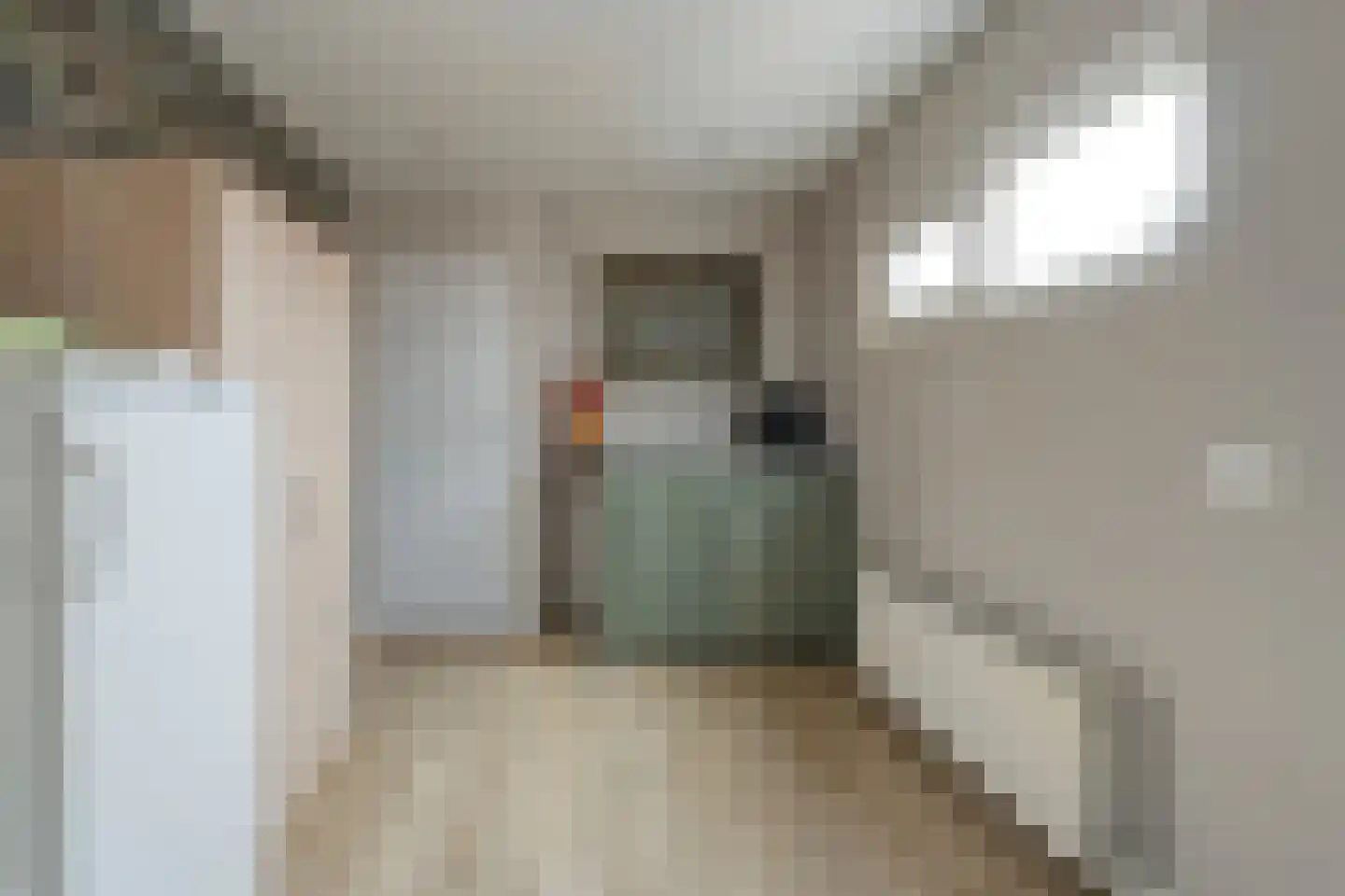 Rembrandtstraat 14 Hardenberg thumbnail 15