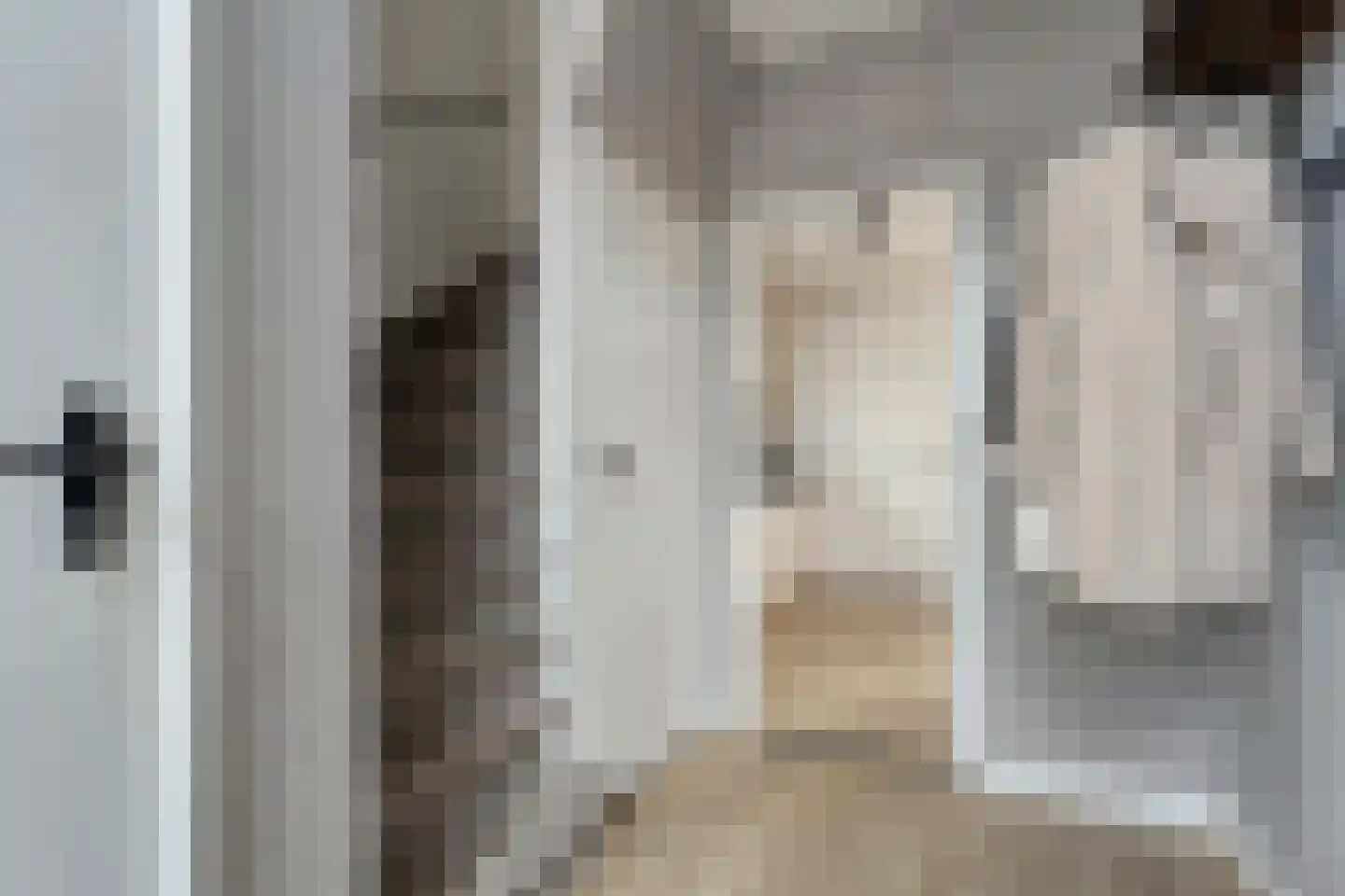 Rembrandtstraat 14 Hardenberg thumbnail 18