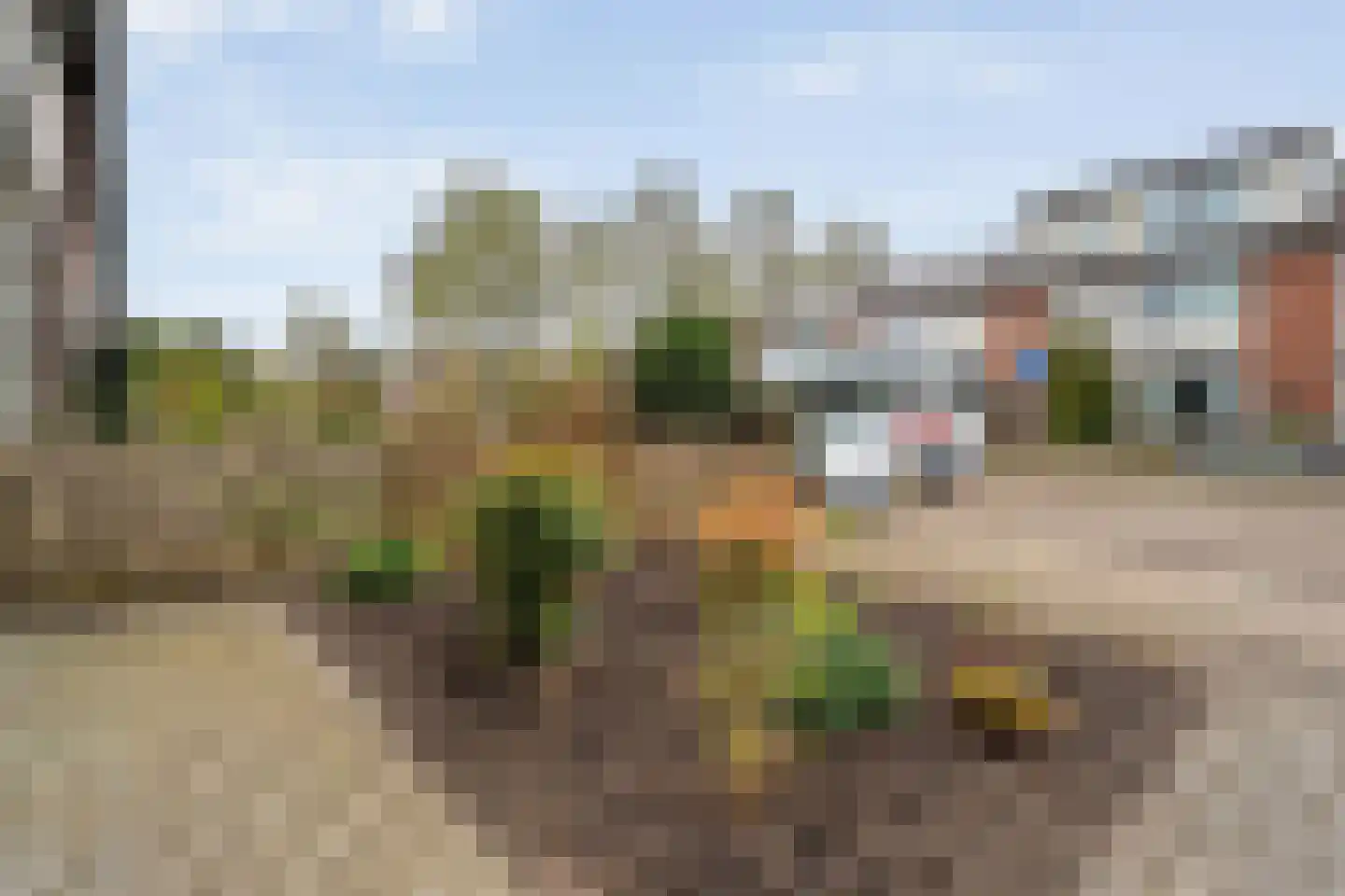 Rembrandtstraat 14 Hardenberg thumbnail 42