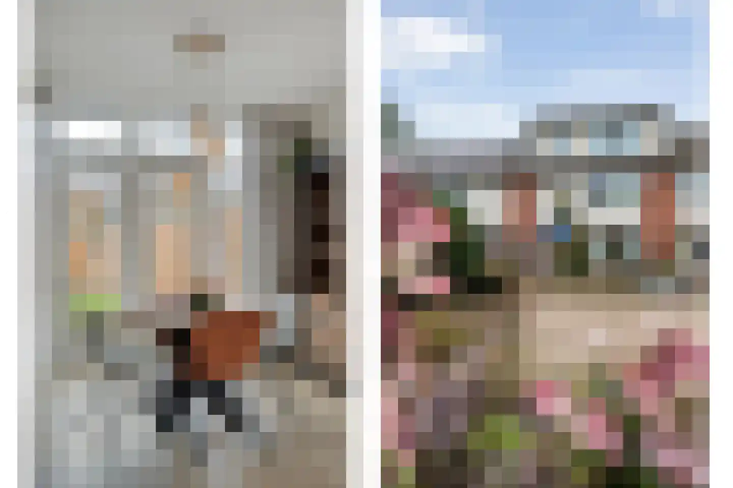 Rembrandtstraat 14 Hardenberg thumbnail 9