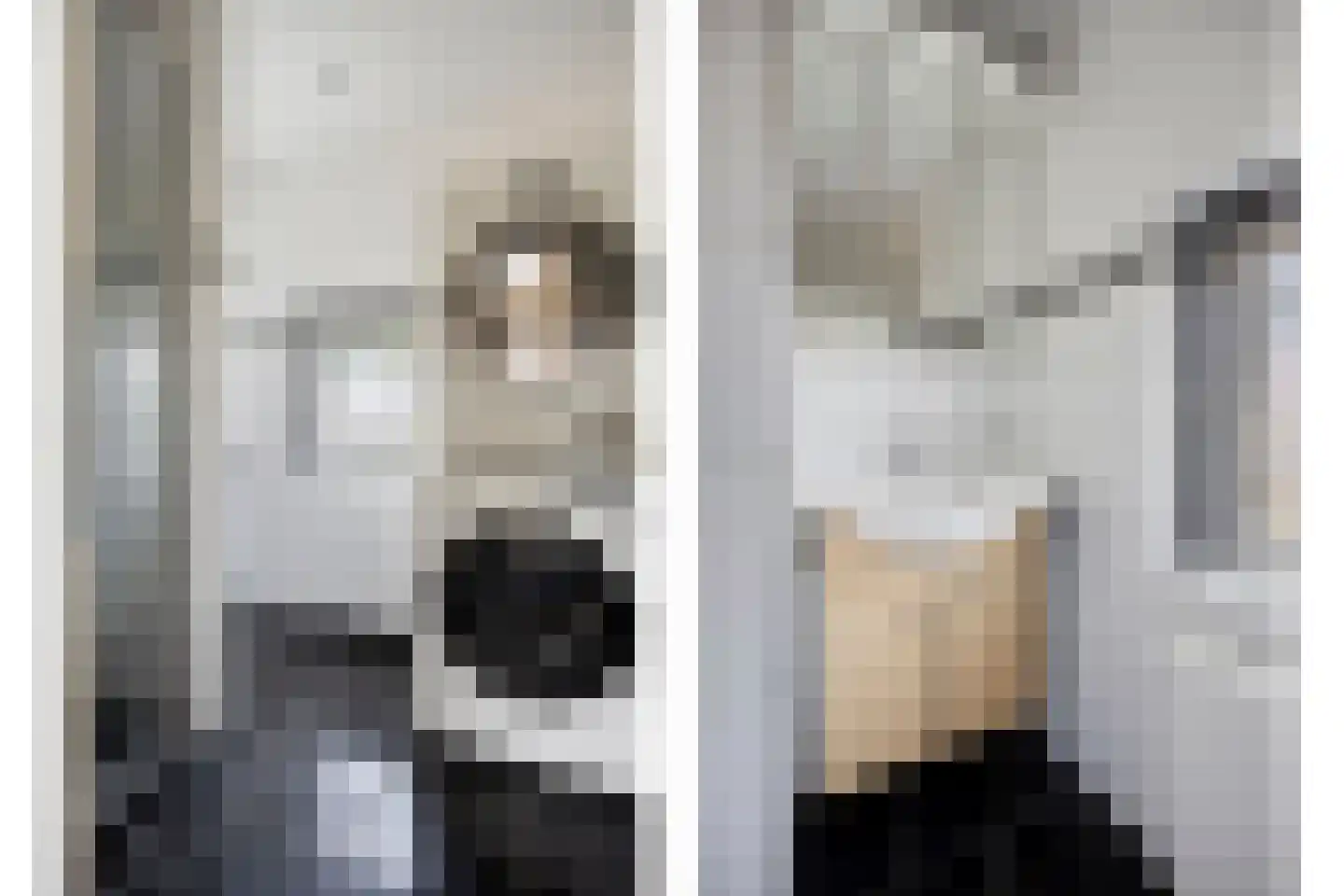 Rembrandtstraat 14 Krimpen aan de Lek thumbnail 13
