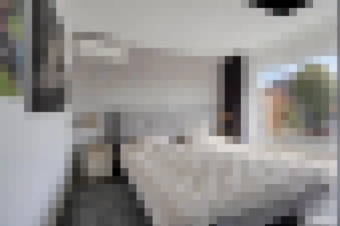 Rembrandtstraat 14 Krimpen aan de Lek thumbnail 15