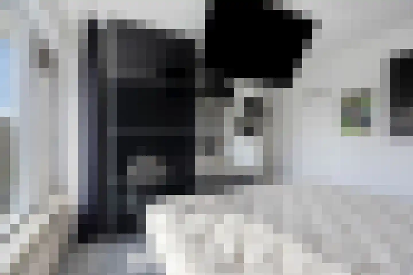 Rembrandtstraat 14 Krimpen aan de Lek thumbnail 16