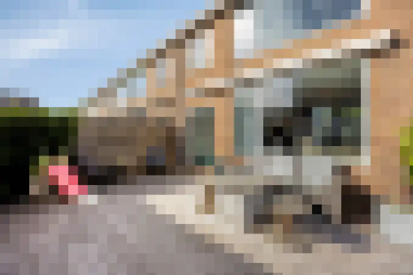 Rembrandtstraat 14 Krimpen aan de Lek thumbnail 20