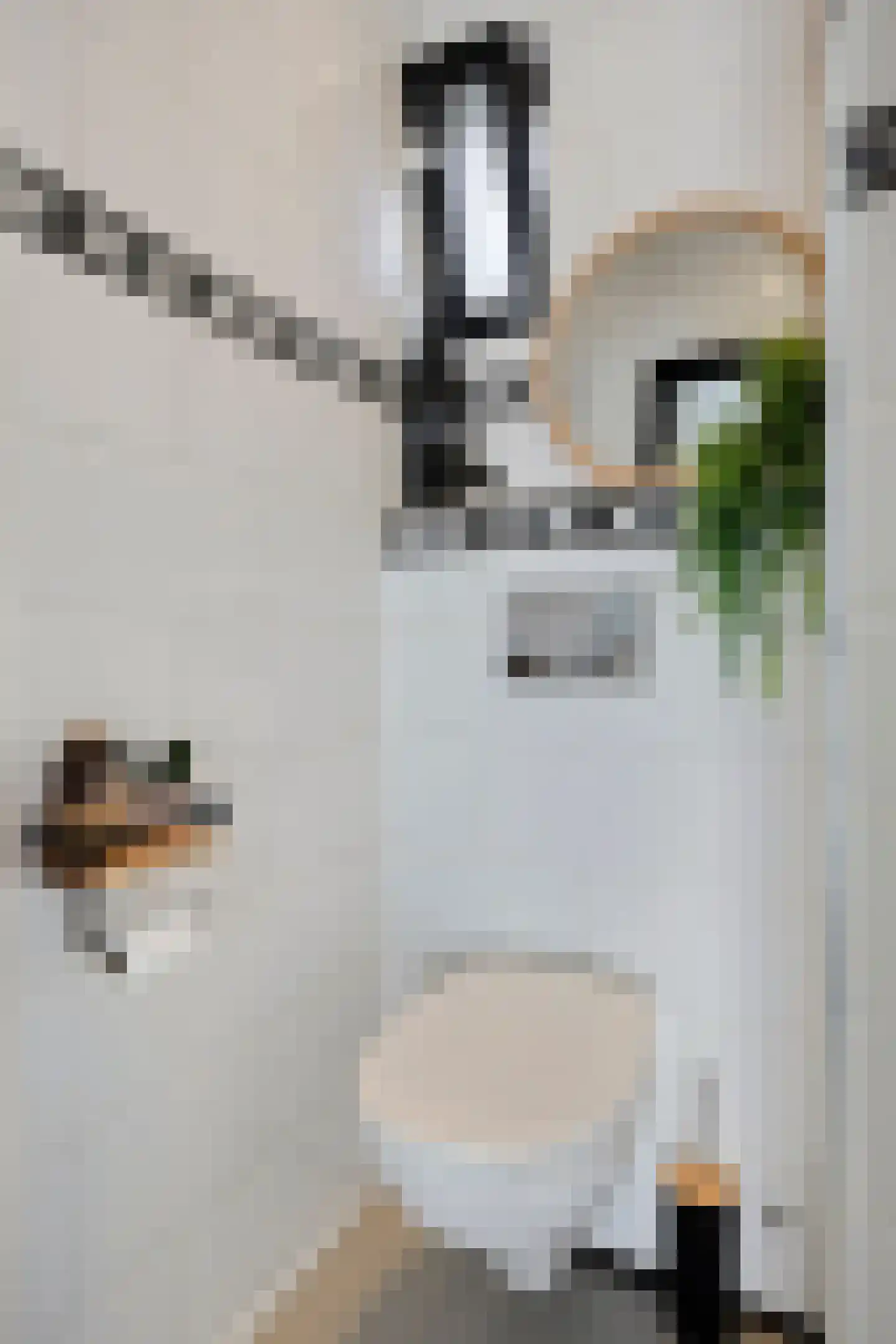 Rembrandtstraat 14 Krimpen aan de Lek thumbnail 5