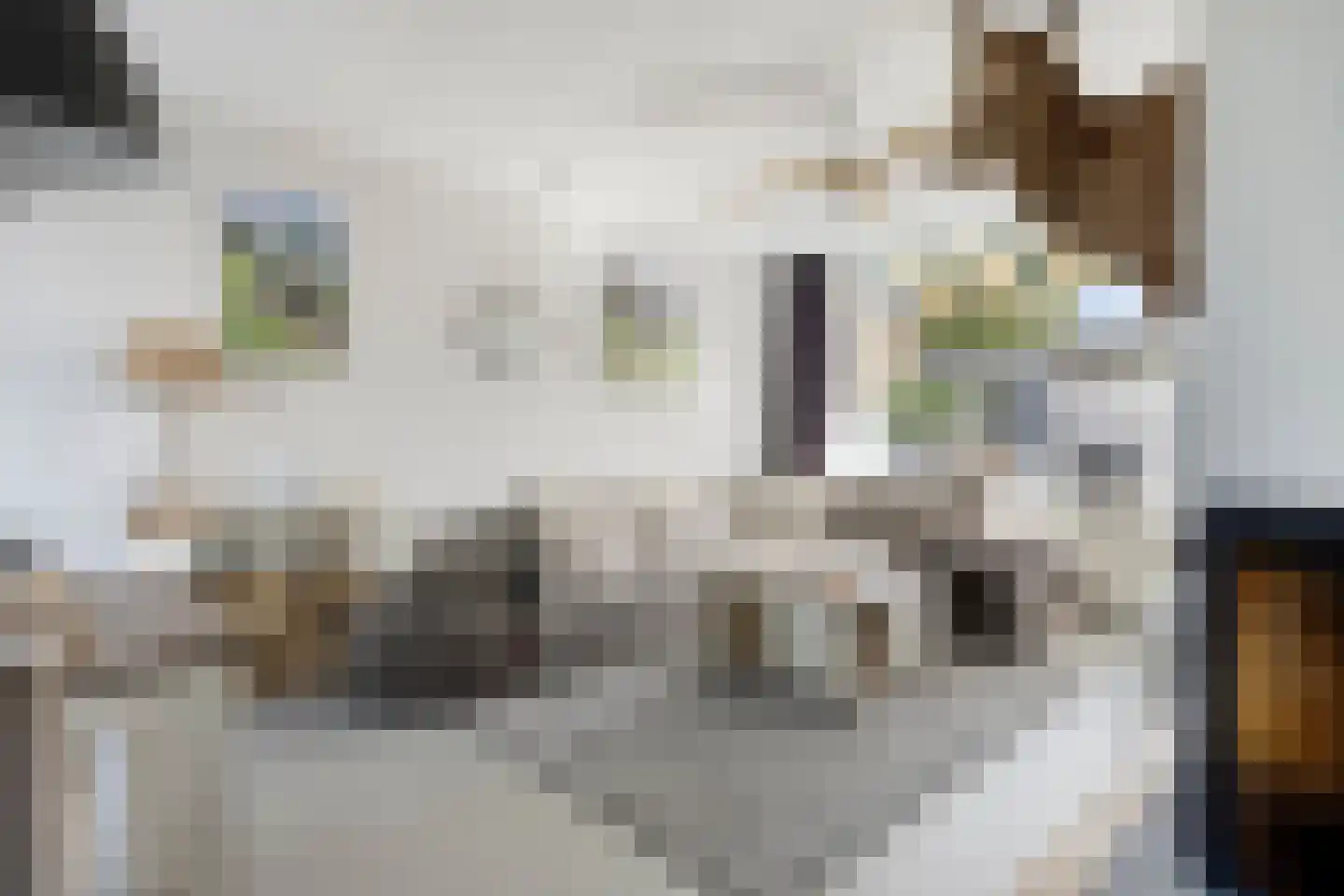 Rembrandtstraat 14 Krimpen aan de Lek thumbnail 6