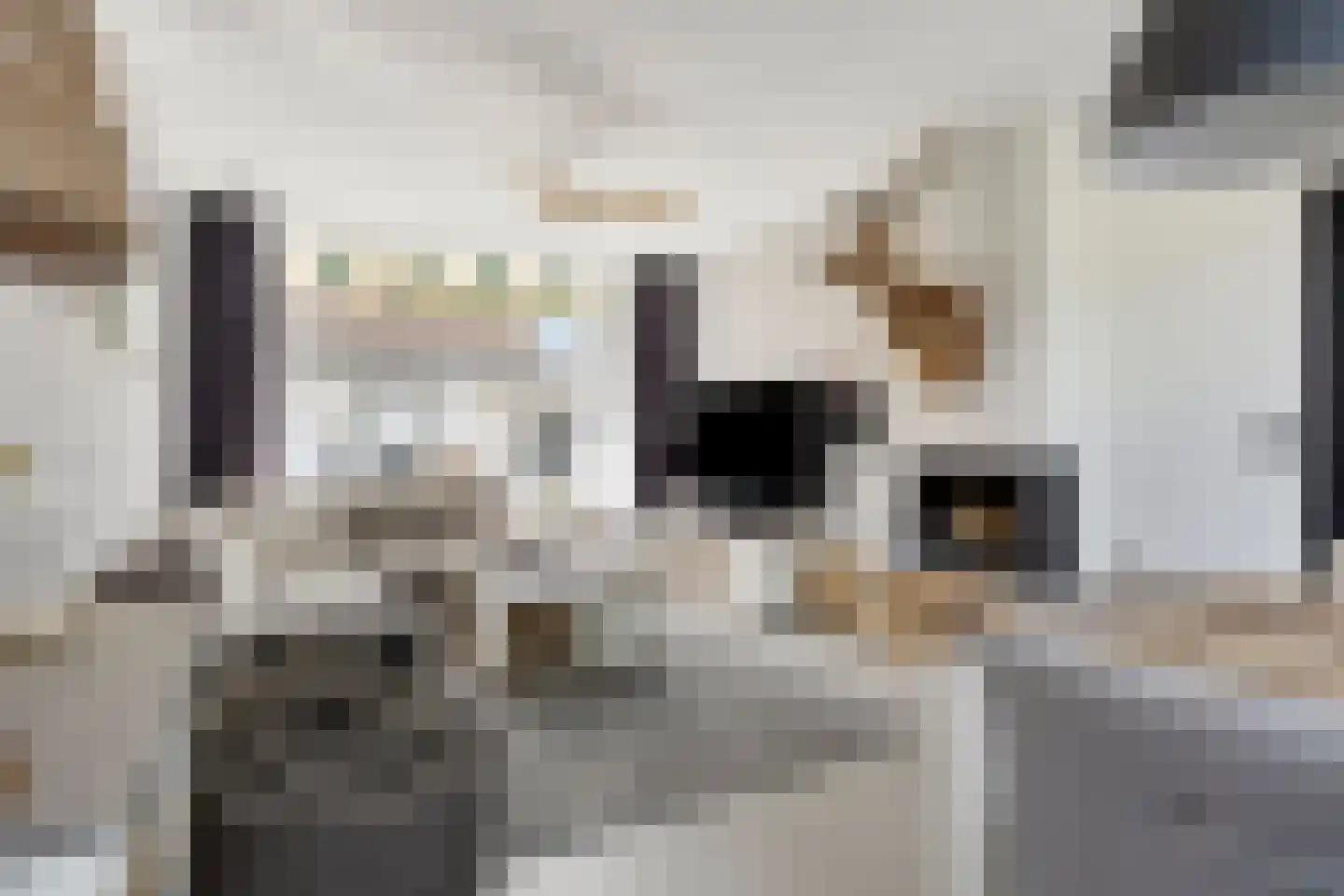 Rembrandtstraat 14 Krimpen aan de Lek thumbnail 7