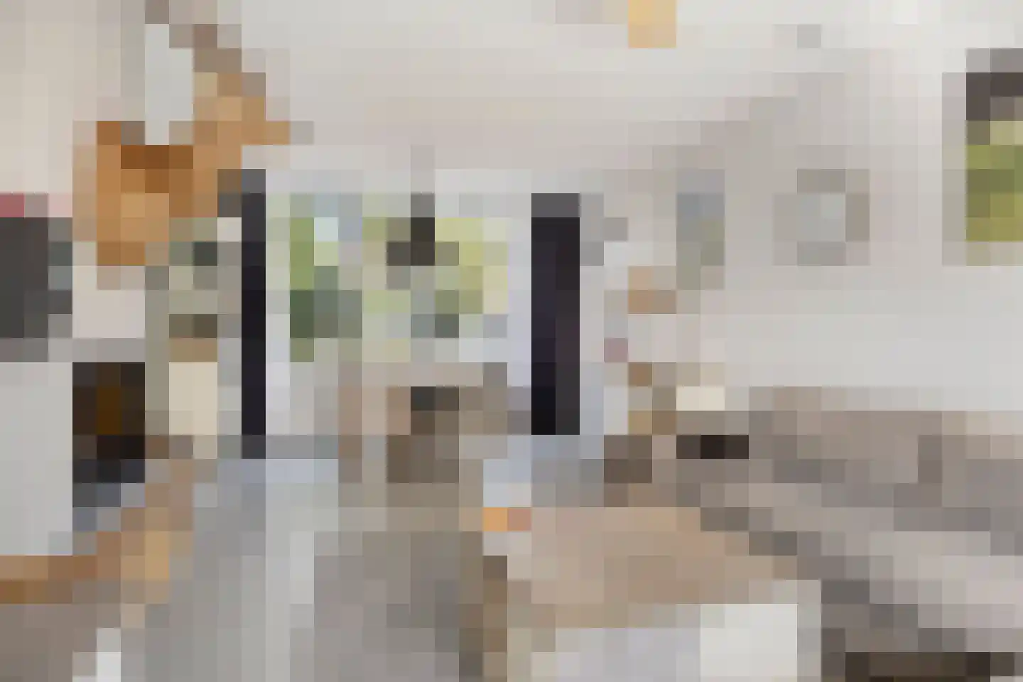 Rembrandtstraat 14 Krimpen aan de Lek thumbnail 8