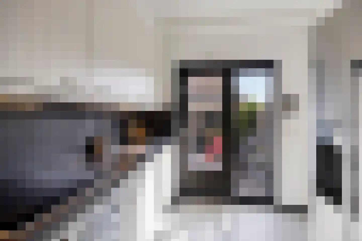 Rembrandtstraat 14 Krimpen aan de Lek thumbnail 9